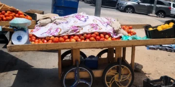 بلدية العزيزية بجدة تصادر 2.4 طن من الخضروات والفواكه في حملة ضد البيع العشوائي