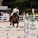 مرابط الخيل في جازان تُؤهّل الفرسان وتحفظ إرث الفروسية العربية
