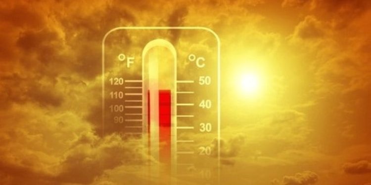 الأحساء تُسجّل أعلى درجة حرارة في المملكة بـ 48 درجة مئوية