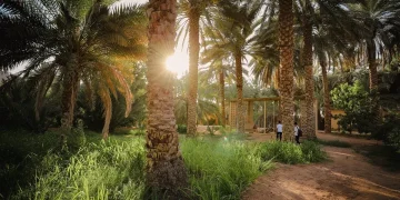 الهيئة الملكية لمحافظة العُلا تطلق موسم “خيرات العُلا”