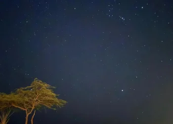 سكون الطبيعة وبريق النجوم يرسمان مشهدًا ليليًا آسرًا في محمية الإمام تركي