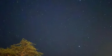 سكون الطبيعة وبريق النجوم يرسمان مشهدًا ليليًا آسرًا في محمية الإمام تركي