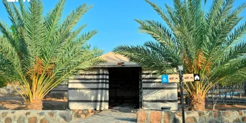 واحات شمال جدة الخضراء تتحول إلى وجهات سياحية بمنتجعاتها الريفية