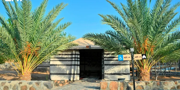 واحات شمال جدة الخضراء تتحول إلى وجهات سياحية بمنتجعاتها الريفية