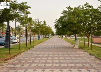 المماشي الرياضية بنجران من الوجهات المفضلة خلال الإجازة الصيفية