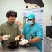 وقاء يطلق حملة لتحصين الحيوانات الأليفة ضد السعار بالقصيم