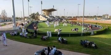 الطائف وجهة رياضية سياحية تستقطب بطولات محلية ودولية طوال العام