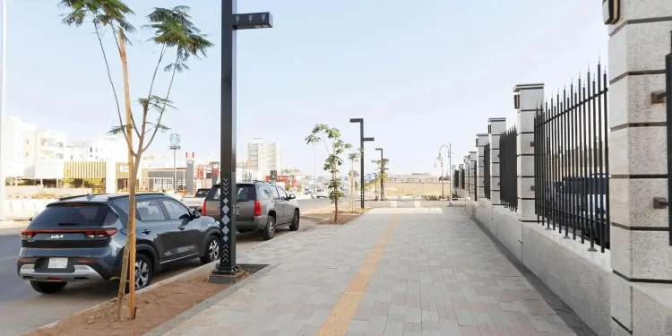 أمانة عسير تزرع 1400 شجرة في أبها ضمن مشروع أنسنة طريقي المحالة والأمير سلطان