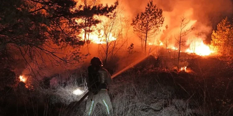 حريق ضخم يلتهم محمية طبيعية شرقي هولندا ويُجلي 300 شخص