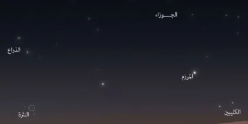 نجم الكليبين يُطلّ خلال يومين ويُعيد الجدل حول «مرخيات القلايد»
