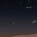 نجم الكليبين يُطلّ خلال يومين ويُعيد الجدل حول «مرخيات القلايد»