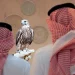 المركز الوطني للصقور يطلق المزاد الدولي لمزارع الإنتاج 2026 في الرياض
