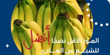 “الصحة” تكشف سر الموز قبل التمرين.. الأقل نضجًا للشبع والأشد نضجًا للطاقة السريعة
