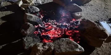 الأمن البيئي يضبط مخالفتَي رعي جائر وإشعال نار في محمية الإمام تركي وعسير