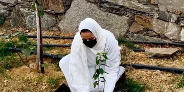 ورشة «رحلة القهوة» في قرية آل مساعد التراثية تُحوّل البن الخولاني إلى تجربة سياحية