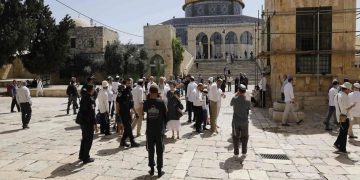 مستعمرون يقتحمون المسجد الأقصى بحماية قوات الاحتلال