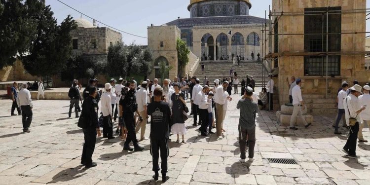 مستعمرون يقتحمون المسجد الأقصى بحماية قوات الاحتلال
