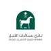 نادي سباقات الخيل يلغي موسم الطائف الشتوي ضمن تحديثات البرنامج السباقي