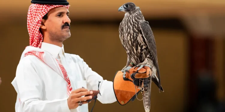 من الجير إلى الهجين.. تعرّف على أبرز أنواع الصقور في المزاد الدولي لمزارع الإنتاج 2026