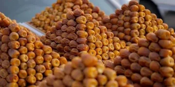 250 طناً من التمور يومياً في سوق البكيرية بنسخته السابعة عشرة