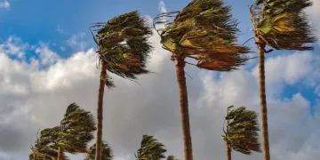 الأرصاد تحذر من رياح نشطة وأتربة مثارة في حائل ونجران