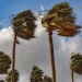الأرصاد تحذر من رياح نشطة وأتربة مثارة في حائل ونجران