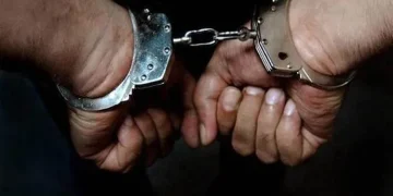 ضبط مواطن صاد «وعلاً» مهدداً بالانقراض في عسير بحوزته مسدس وذخيرة