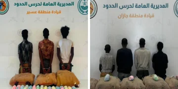 163 كجم من القات و87 ألف قرص محظور.. حرس الحدود يُحبط ثلاث محاولات تهريب في عسير وجازان
