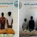 163 كجم من القات و87 ألف قرص محظور.. حرس الحدود يُحبط ثلاث محاولات تهريب في عسير وجازان