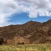نقوش وآثار “حبونا”..حضارة  تحكيها شواهد الطين والصخر عبر القرون