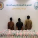 حرس الحدود بجازان يقبض على 3 مخالفين لترويجهم 82 كيلوجرامًا من نبات القات المخدر