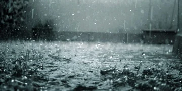 الأرصاد يُنبّه من أمطار وصواعق ورياح شديدة على الباحة وجازان