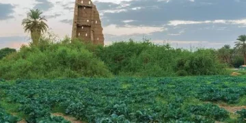 «الغطاء النباتي» يطرح 4 فرص استثمارية في متنزهات الجوف لدعم السياحة البيئية