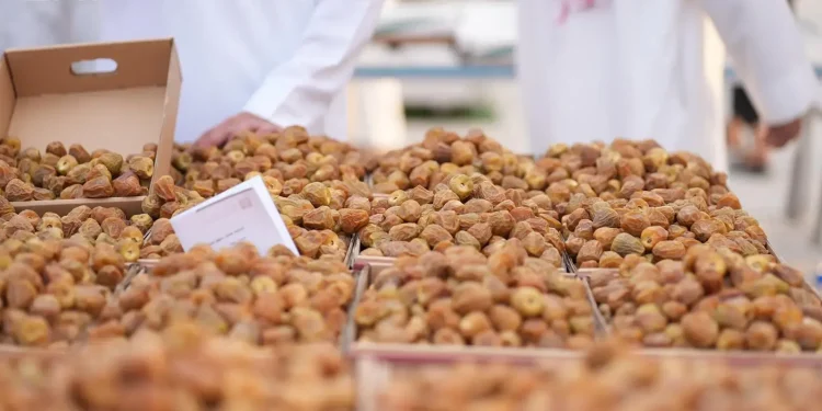 موسم عنيزة الدولي للتمور يجمع أكثر من 20 صنفاً بإنتاج يتجاوز 90 ألف طن