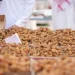 موسم عنيزة الدولي للتمور يجمع أكثر من 20 صنفاً بإنتاج يتجاوز 90 ألف طن