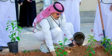 أمانة تبوك تُشجّر 4630 شجرة وتصون 3 ملايين متر مربع من المسطحات الخضراء