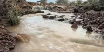 أمطار رعدية وسيول تضرب ضواحي أبها وسط تحذيرات من الأودية