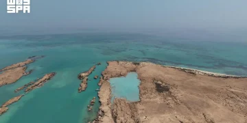 3 اعتمادـات دولية تكرّس جزر فرسان نموذجًا عالميًا للحماية