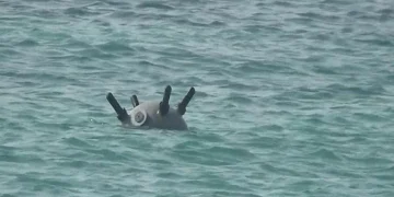 القوات البحرية اليمنية تُزيل لغماً حوثياً وتدمّر زورقاً مفخخاً في باب المندب