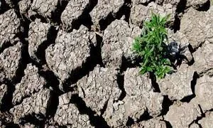 إندونيسيا تعلن حالة طوارئ في 1229 موقعاً تضربها موجة جفاف حادة