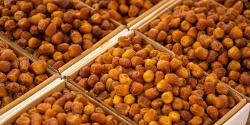 «الخرفة الثانية» تُطلق موسمها الذهبي في مهرجان تمور الخبراء