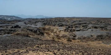 «شعب دحضة» بنجران يكشف أدوات حجرية عمرها 1.8 مليون سنة