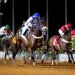 ميدان الملك خالد بالطائف يستضيف الأسبوع السادس من سباقات الخيل بجوائز 1.8 مليون ريال