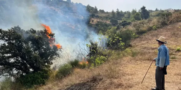 حرائق الجزائر تشتعل في عدة ولايات.. شبهة افتعال تثير التحقيقات ومقاطع تشعل الجدل