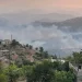 حرائق الجزائر تصل قلب العاصمة وحصيلة الضحايا ترتفع إلى 12 قتيلاً