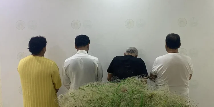 حرس الحدود يضبط 4 مخالفين للصيد دون تصريح واستخدام أدوات محظورة بالقنفذة