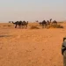 الأمن البيئي يضبط 6 مخالفين في 3 محميات ملكية.. صيد ورعي وإشعال نار