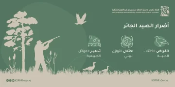 محمية الملك سلمان الملكية تشدّد حظر الصيد وتُكثّف الرقابة الميدانية