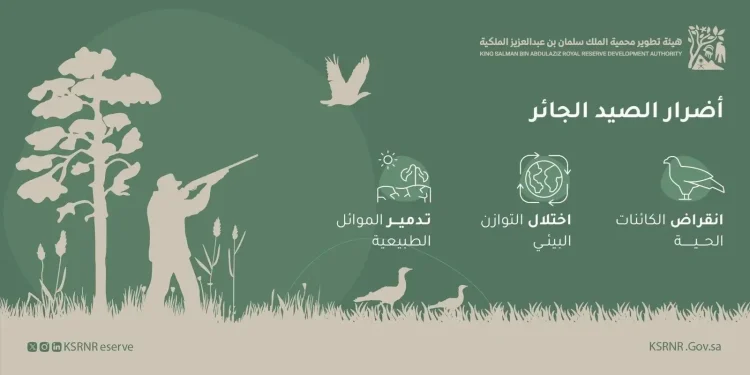 محمية الملك سلمان الملكية تشدّد حظر الصيد وتُكثّف الرقابة الميدانية