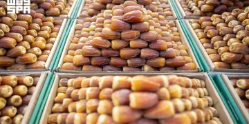 «المناصيف» تُطل على أسواق التمور السعودية بمذاق موسمي فريد